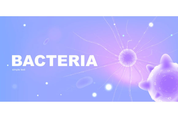 Bacteria Realistic Vector Banner: Practical Applications for Science Communication and Design